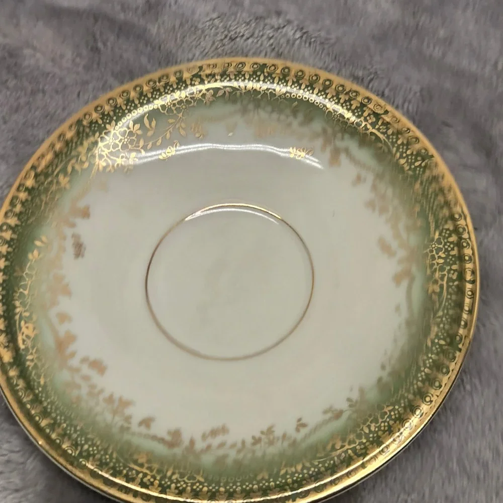 Schirnding Bavaria Porcelain Teacup Saucer Set Green Gold Floral Vintage Germany